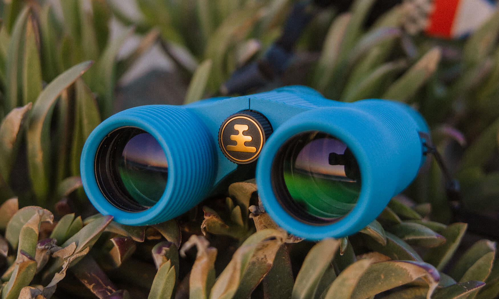 CORSICAN (BLUE) Field Issue 8x32 Waterproof Binoculars product image #5