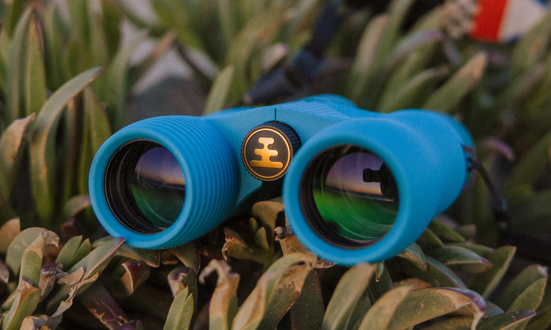 CORSICAN (BLUE) Field Issue 8x32 Waterproof Binoculars product image #5