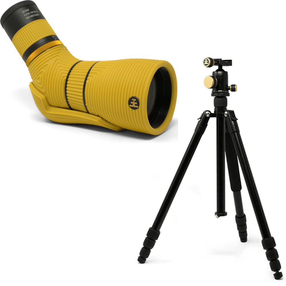Lite View Bundle
