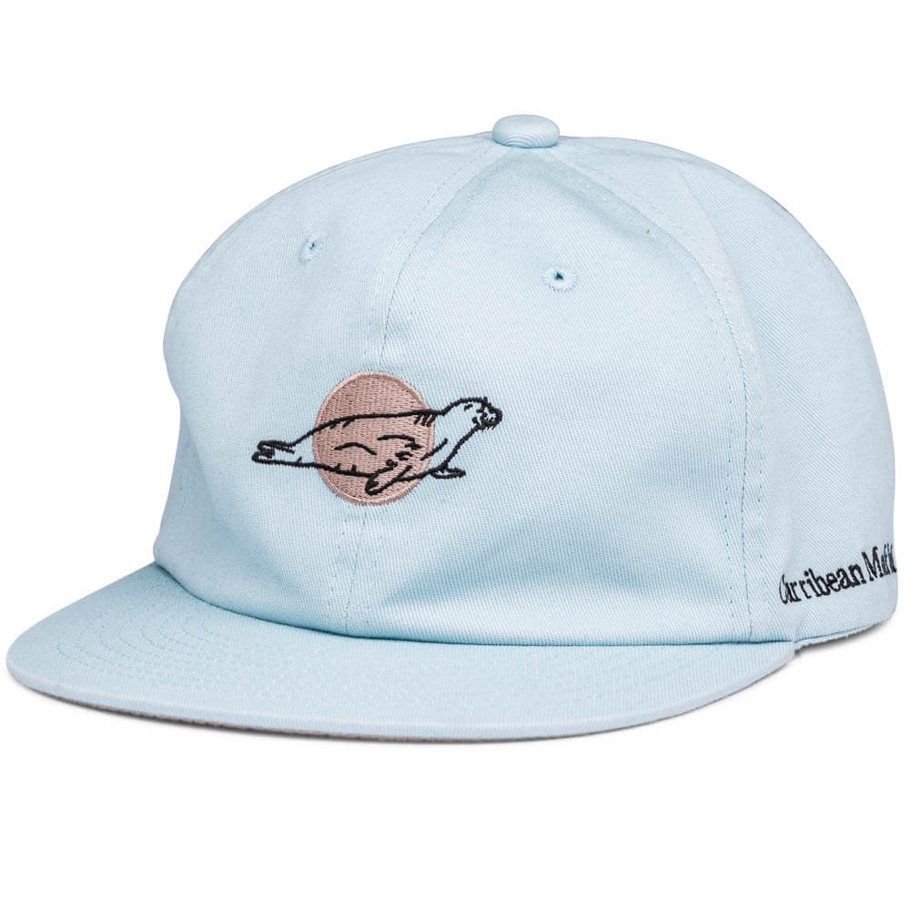 Featured product image for CARRIBEAN MONK SEAL (BLUE)